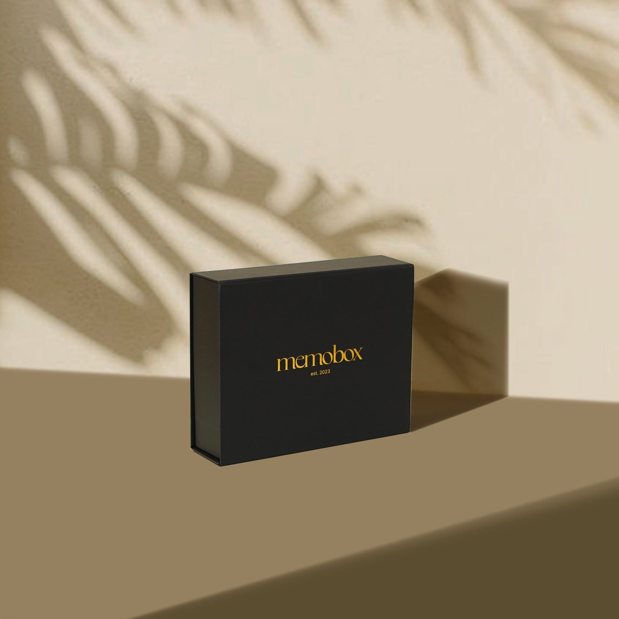 The Memobox standing on a plinth under a palm-frond shadow